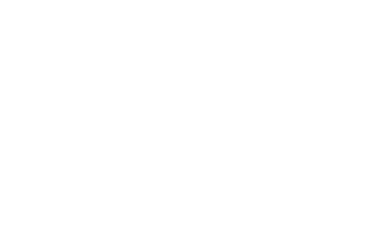 daman2